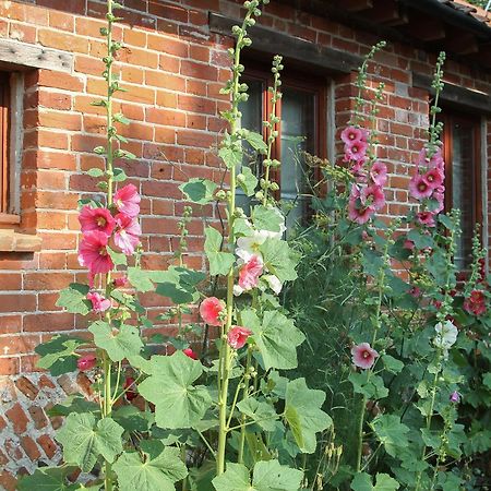 Villa Elm Tree Barn Felmingham Exterior foto